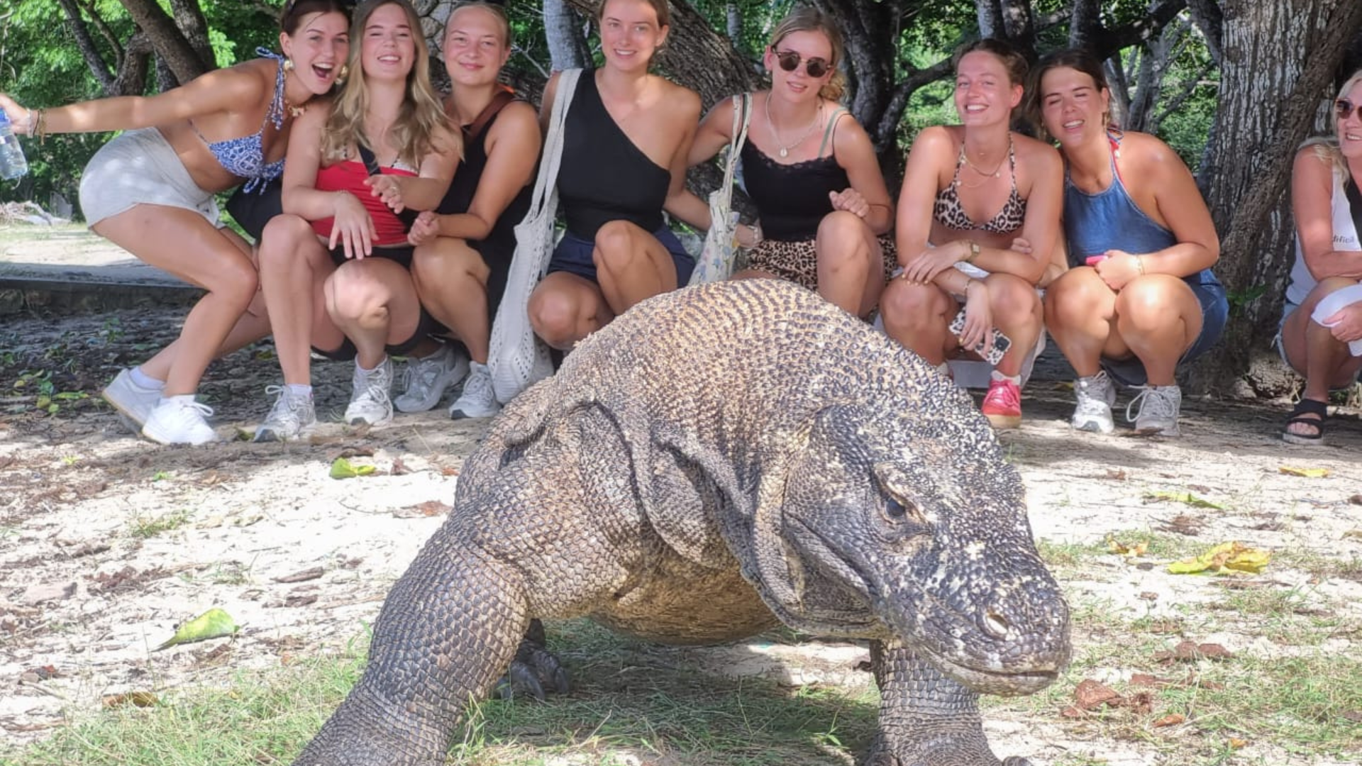 Tourist Edition: How to Go to Komodo Island