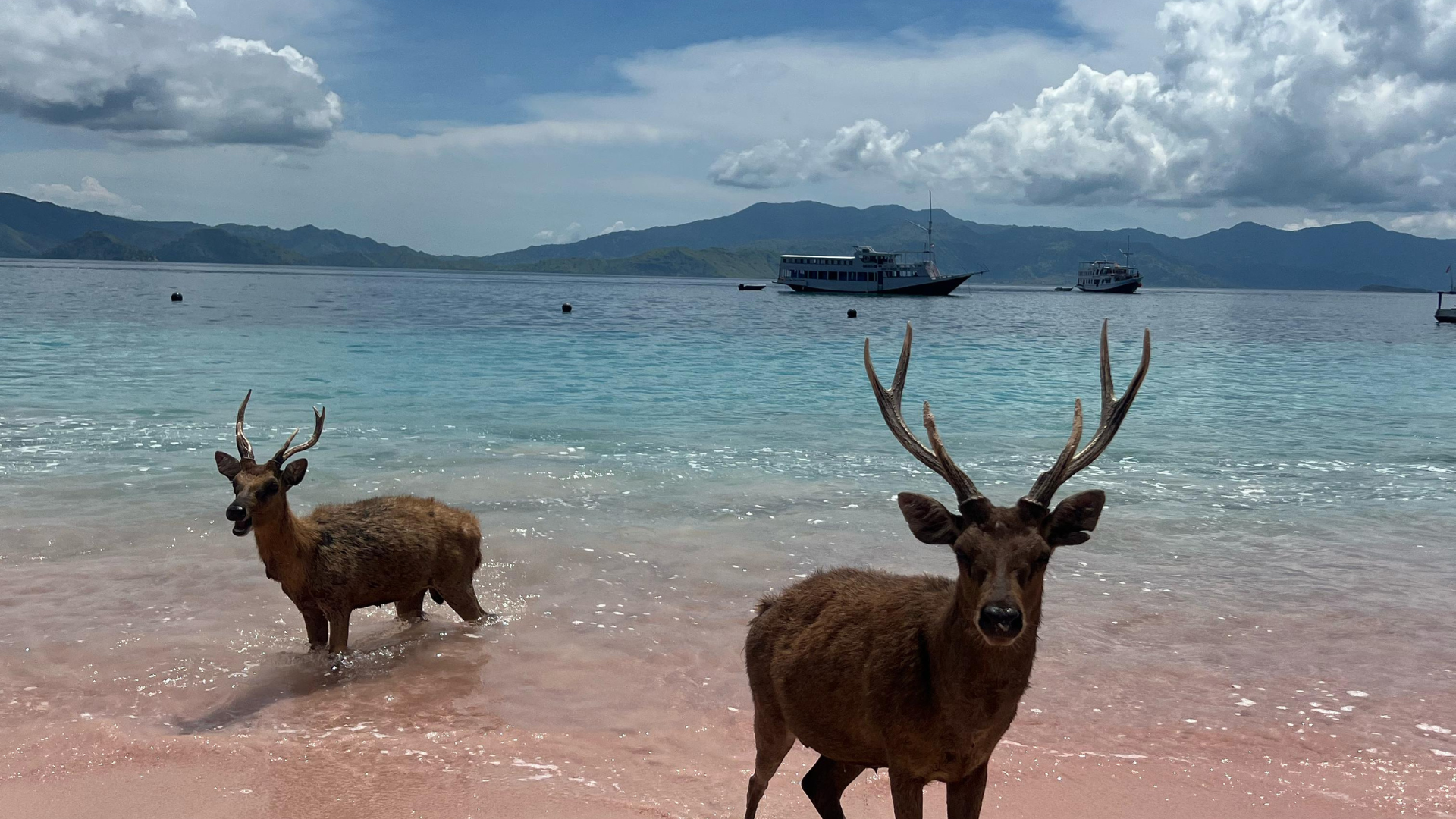 Exploring the Northwest of Flores to Komodo Island: A Complete Travel Experience