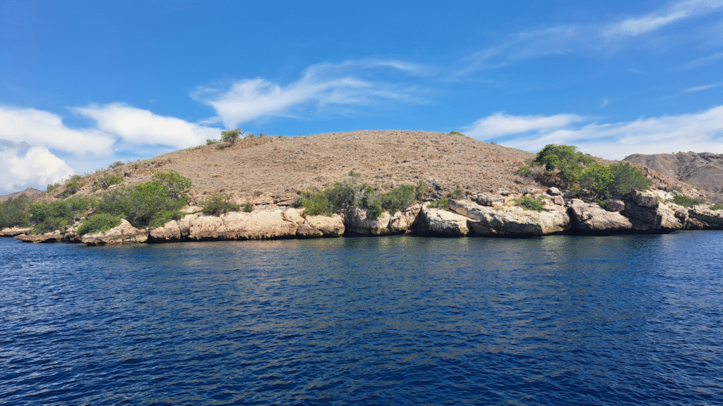 Tips to Visit Komodo Island from Labuan Bajo: A Complete Travel Guide