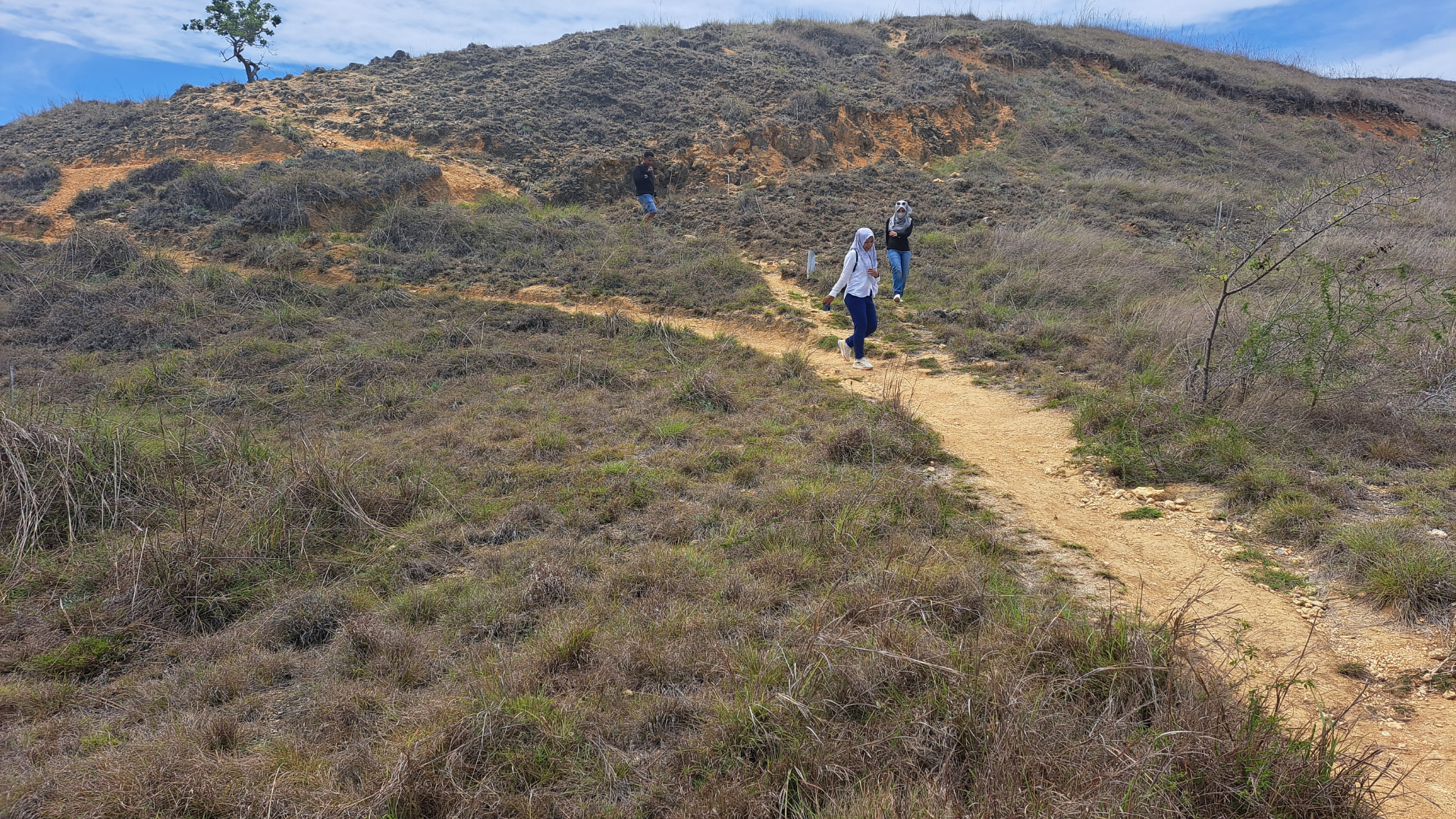 🌿 Flores Rainforest Adventure – 10 Days / 9 Nights