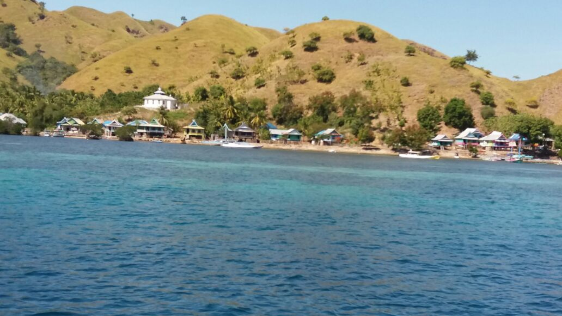 Gili Motang: A Remote Island of Komodo Dragons and Untouched Beauty