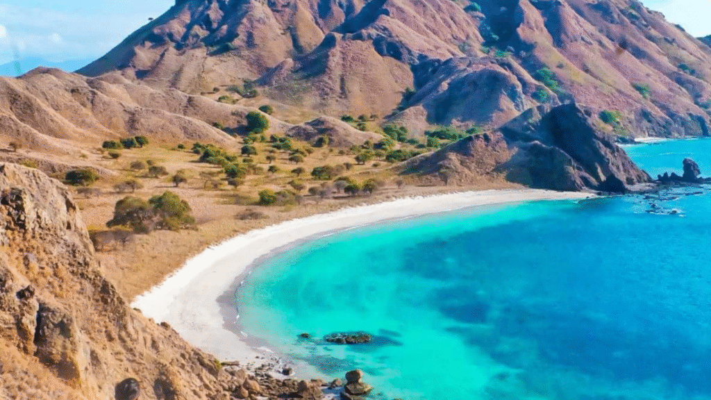 Padar Island: The Iconic Viewpoint of Komodo National Park