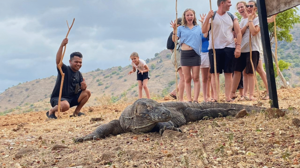 Sulphurea Hill: A Scenic Viewpoint and Wildlife Haven in Komodo National Park