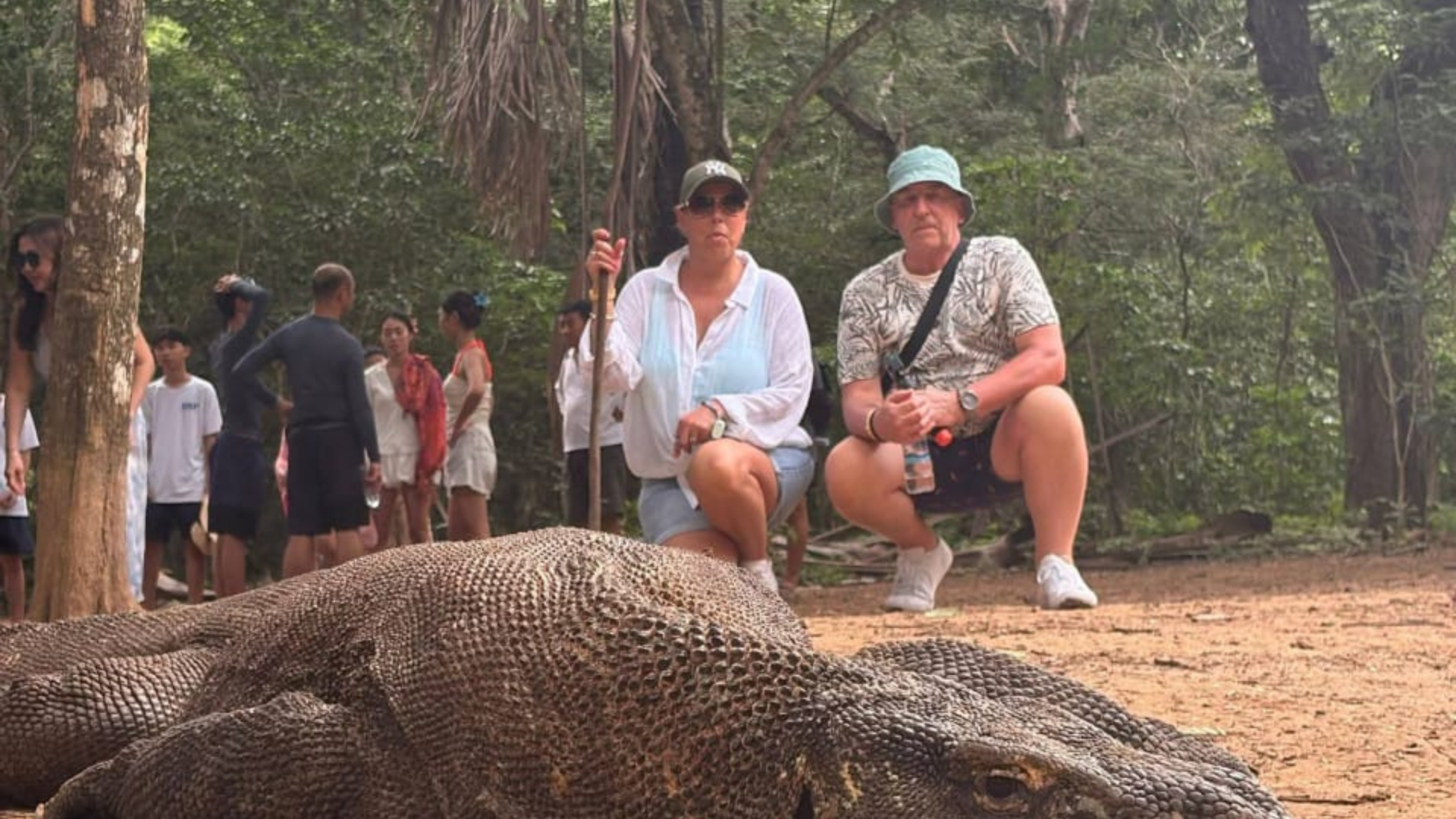 Loh Wenci: A მშვიდ and Colorful Dive Spot in Komodo National Park