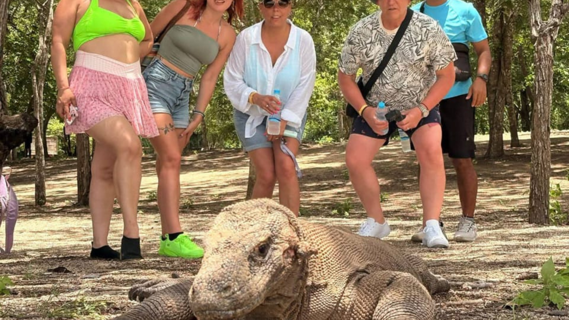 Namo Beach: A Hidden Pink Paradise in Komodo National Park