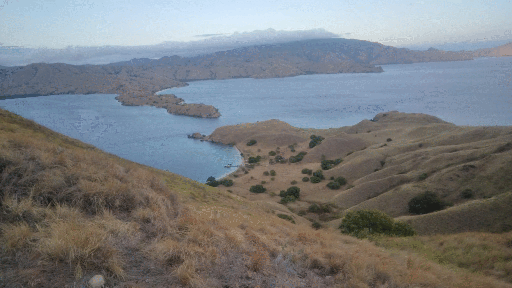 Nusa Kode: The Wild Frontier of Komodo National Park