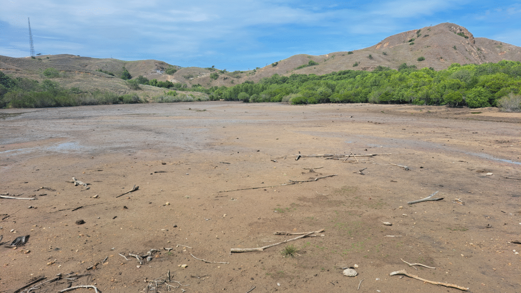 Tanjung Rusa: A Thrilling Dive Site in Komodo National Park