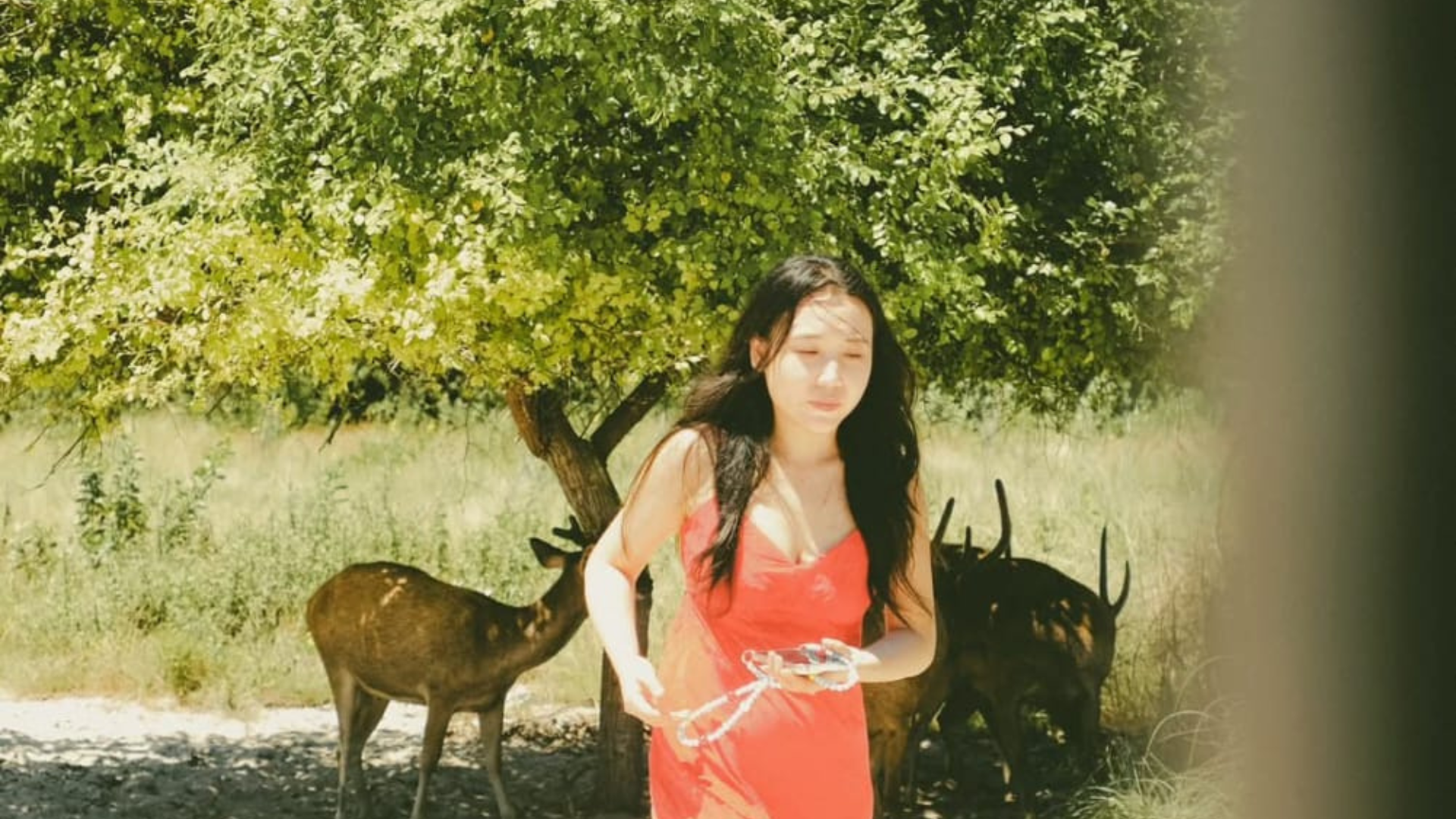 Komodo Private Boat Charter: KTT04 Private AC Cabin Boat Experience