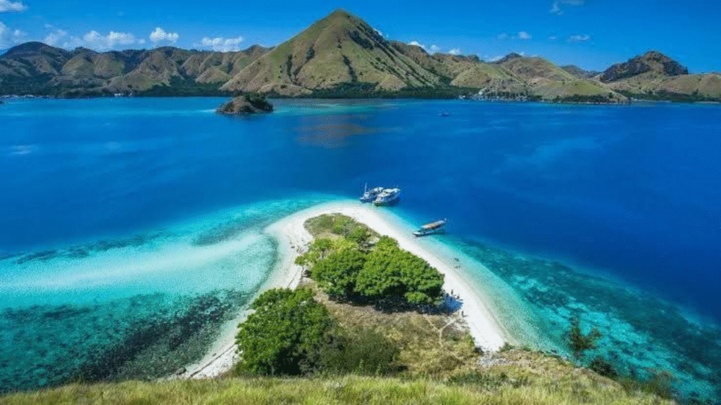 Komodo 4 Days 3 Nights Private Boat Tour: The Ultimate Island Adventure
