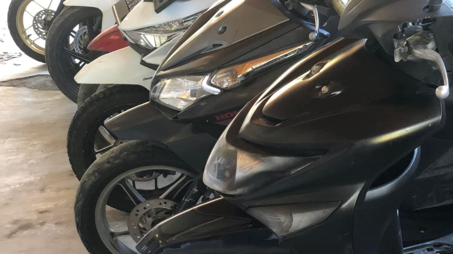 Rental Motor Labuan Bajo: Solusi Praktis Menjelajahi Keindahan Flores