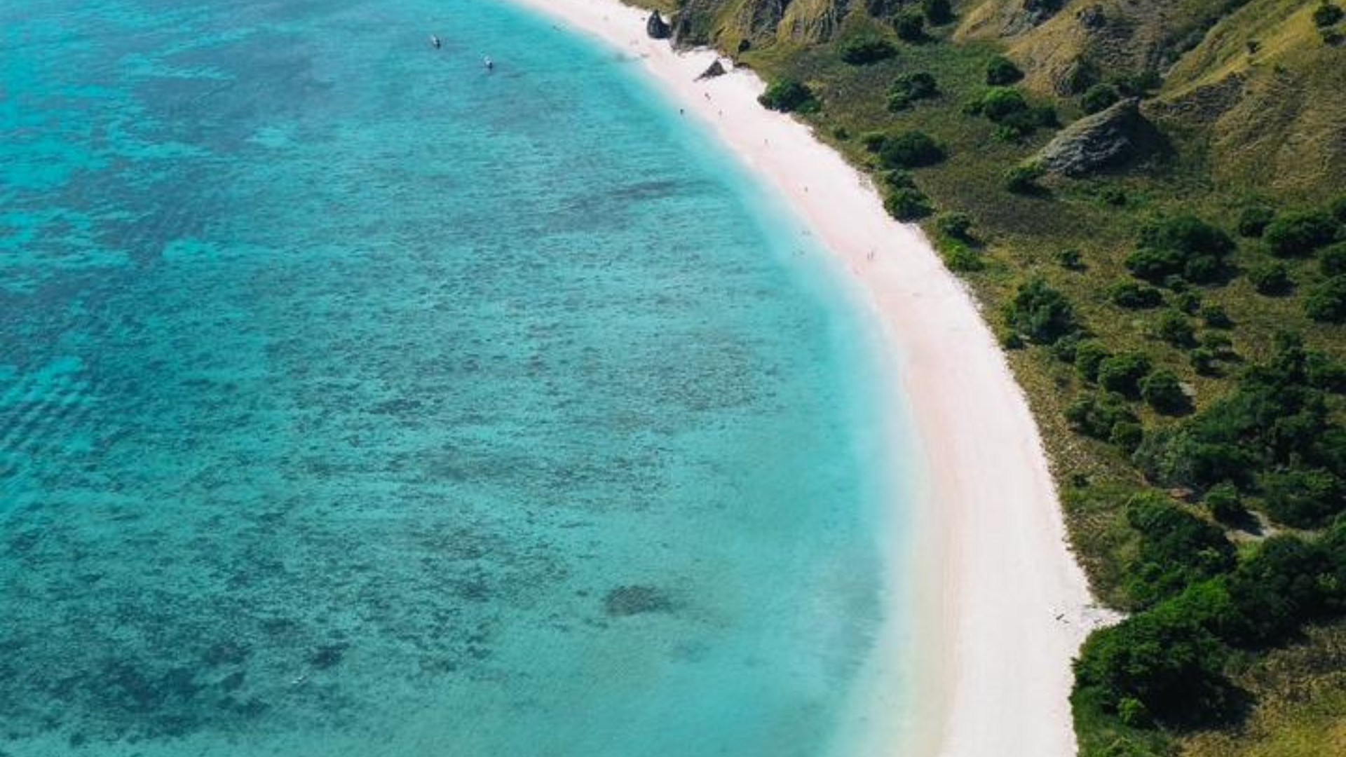 Pink Beach: The Magical Pink Paradise of Komodo National Park