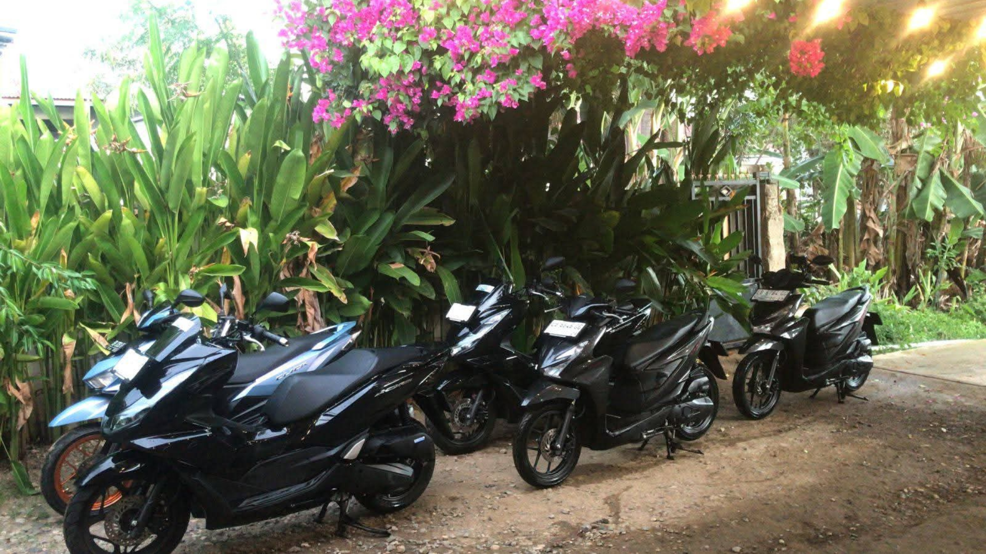 Sewa Motor Labuan Bajo: Transportasi Praktis untuk Menjelajahi Wisata Flores