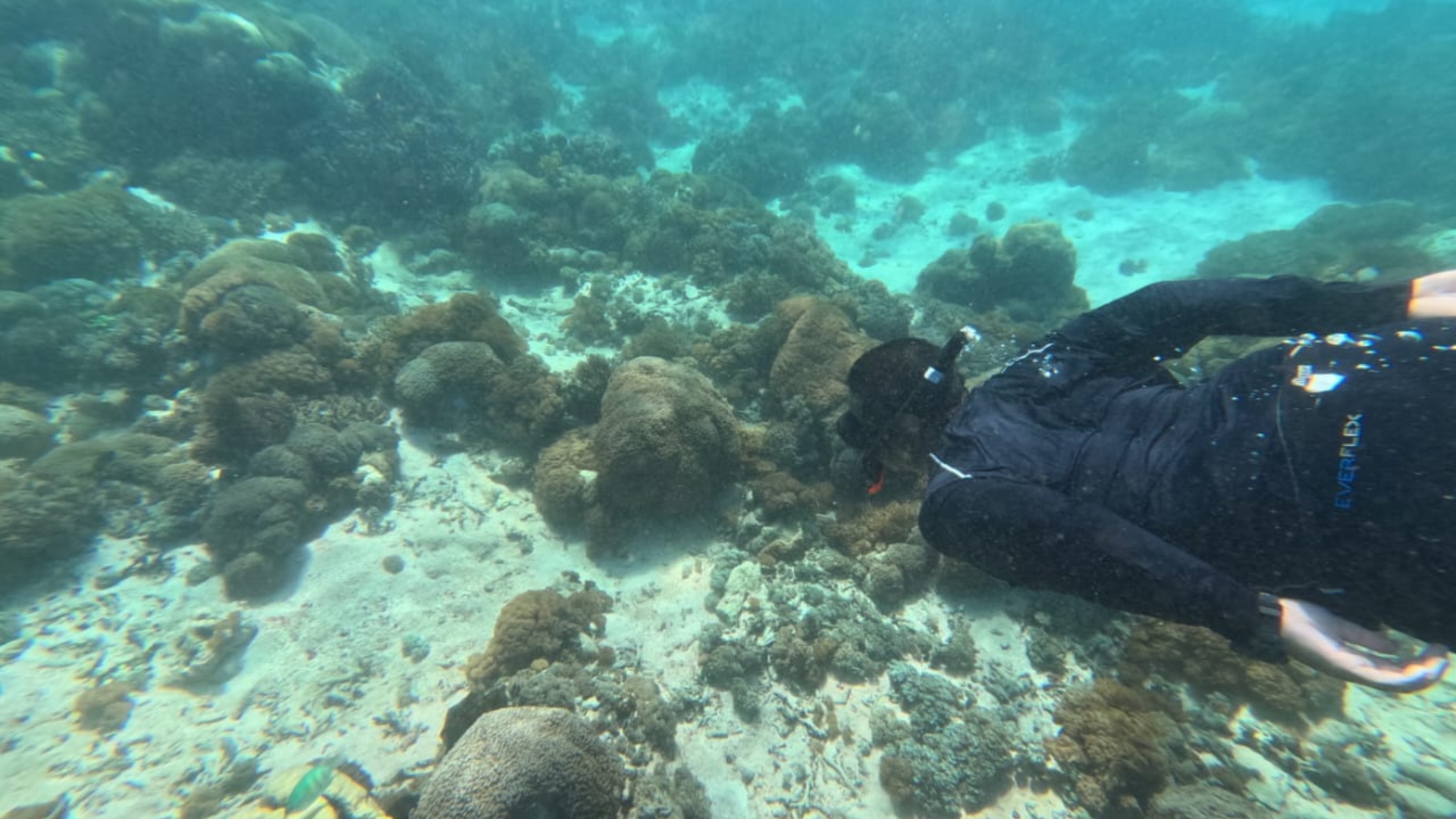 Komodo National Park Cruise: Explore Indonesia’s Most Beautiful Island Paradise