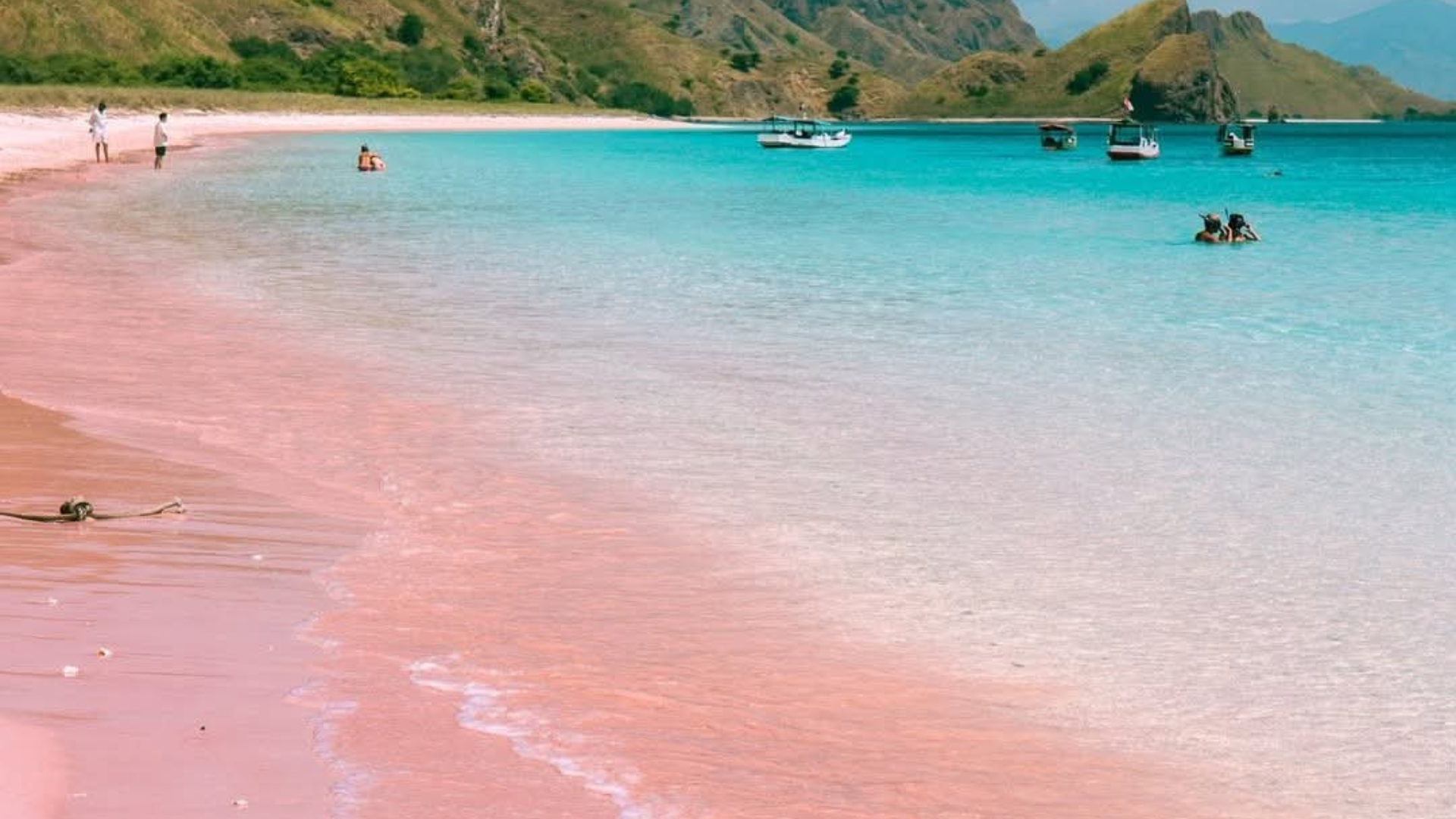 Trip Komodo dari Lombok: Petualangan Sailing Terbaik ke Pulau Komodo