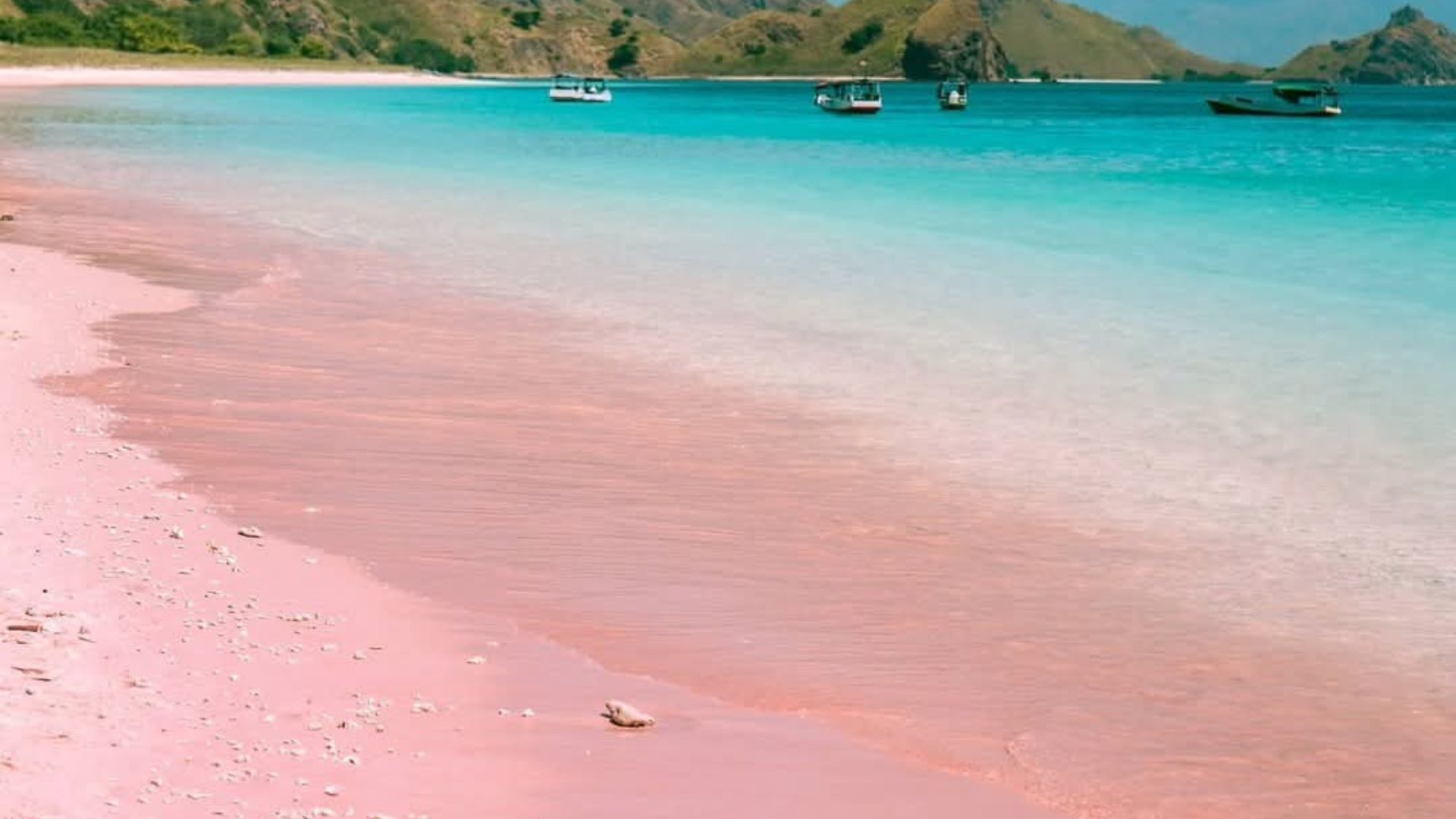 Komodo Liveaboard: The Best Way to Explore Komodo National Park