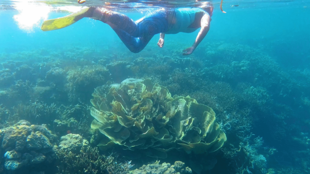 Komodo Boat Tour – Sailing Adventure Across Komodo National Park