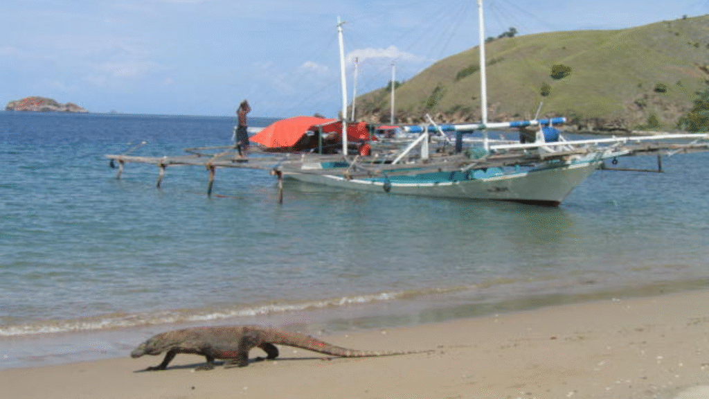 5 Days Komodo Flores Tour: A Complete Journey Across Nature and Culture