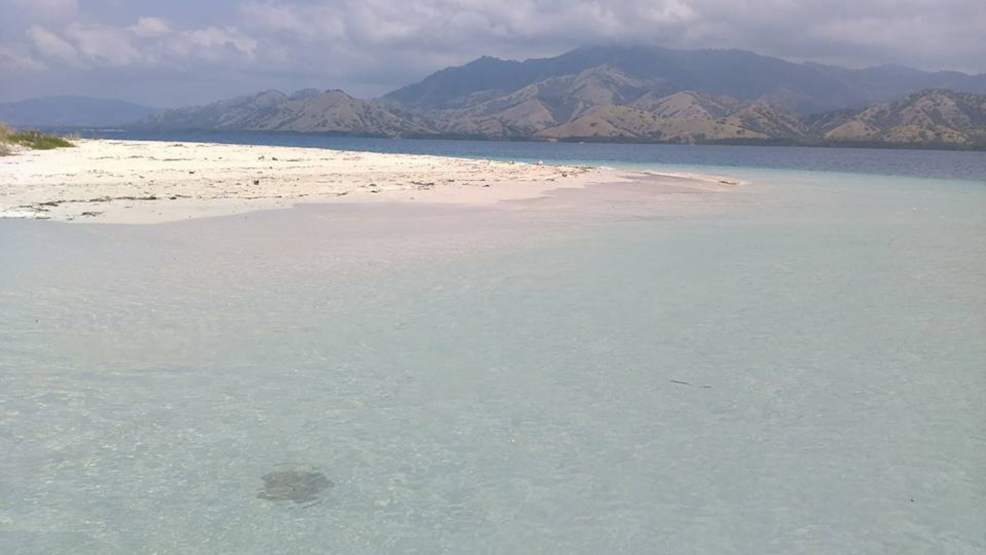 Komodo Island Tour: Explore the Home of the Legendary Dragons