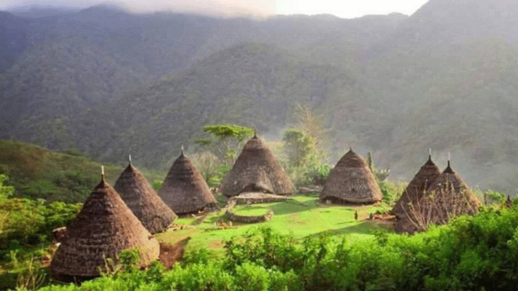 Flores Komodo Tour: A Complete Journey Across Indonesia’s Natural and Cultural Wonders