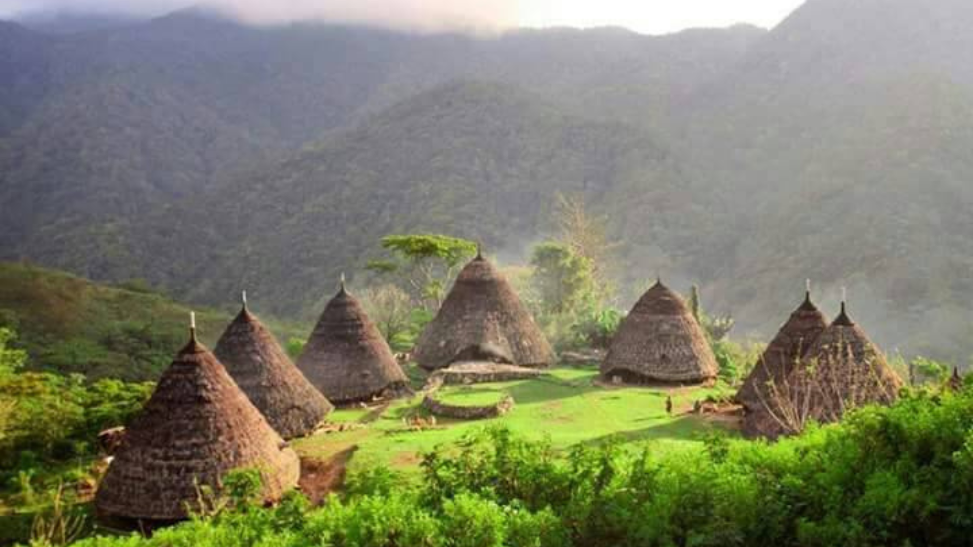Flores Komodo Tour: A Complete Journey Across Indonesia’s Natural and Cultural Wonders