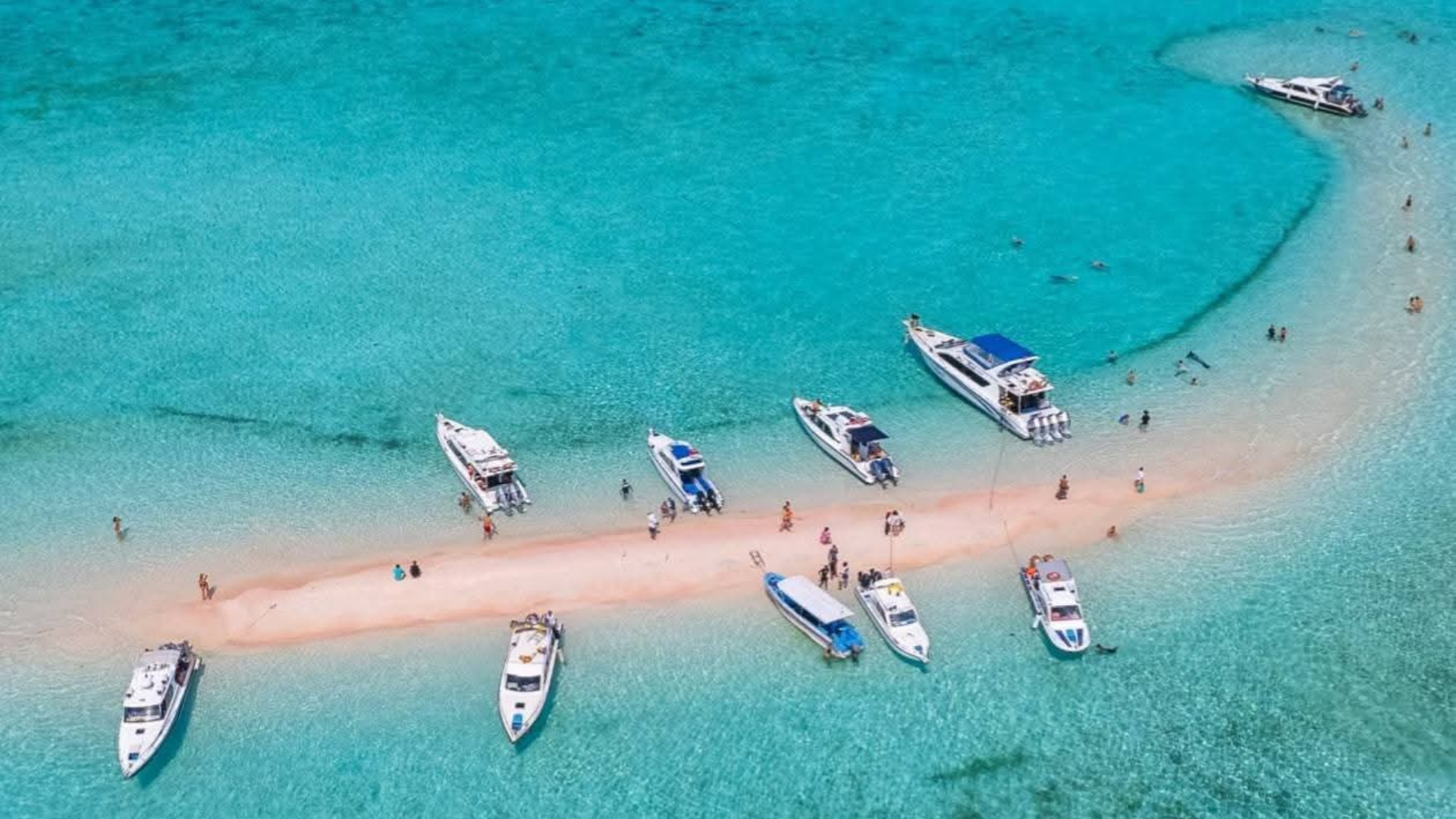 Pink Beach Komodo Tour: Experience One of the World’s Rarest Beaches