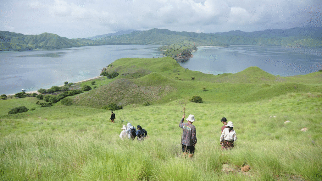 Komodo Island Cruise: Explore Komodo in Comfort