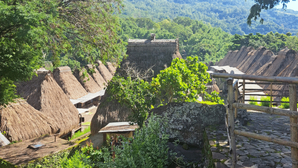 Traditional Village Flores: A Journey Into Timeless Culture and Heritage