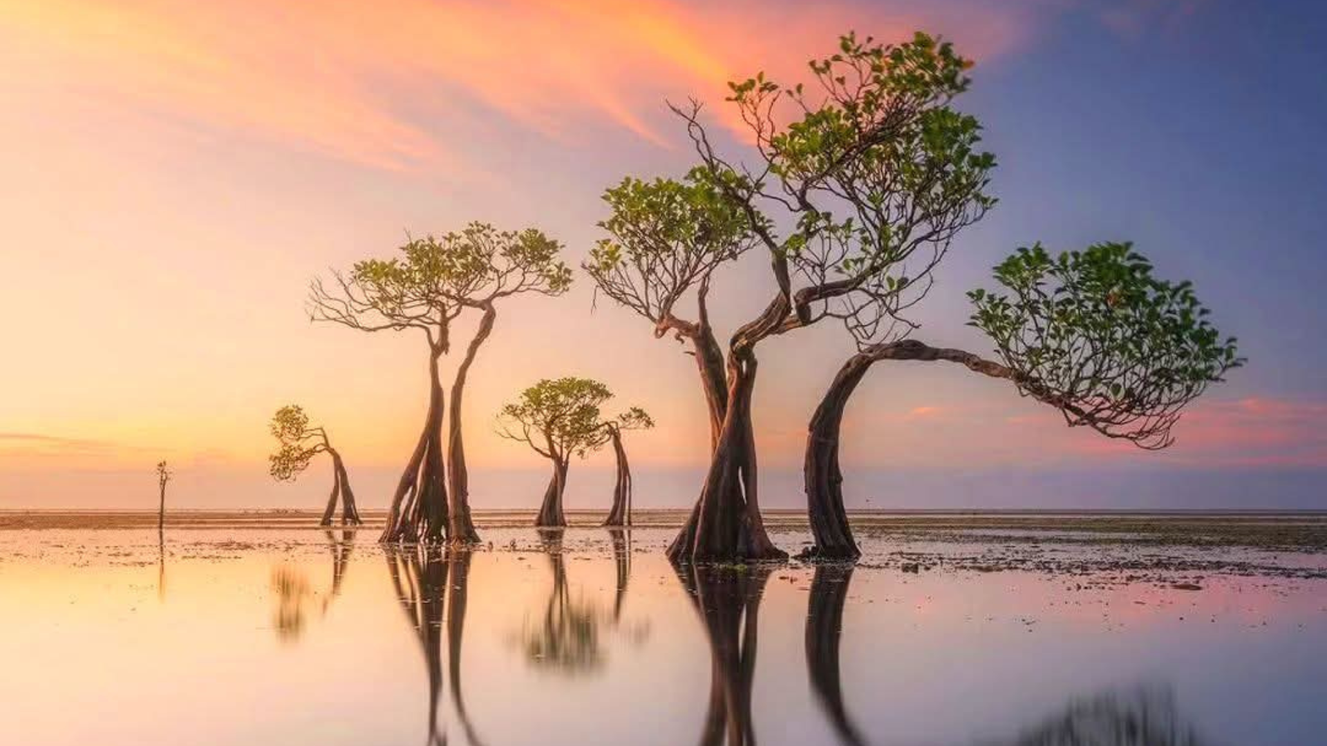 Komodo Sunset Cruise: Enjoy Magical Evenings in Komodo National Park