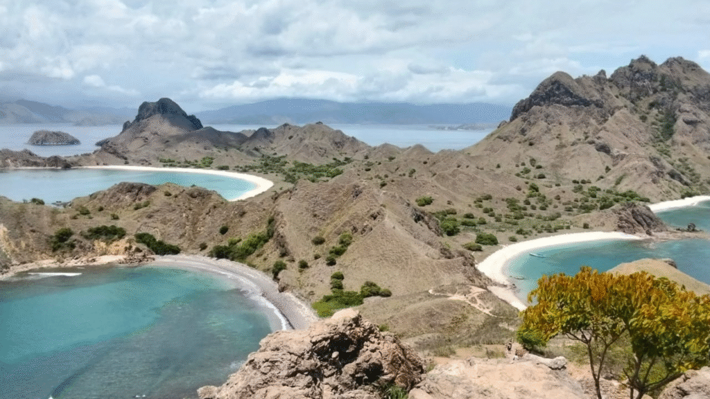 Komodo Adventure Cruise: A Thrilling Sailing Experience in Komodo National Park