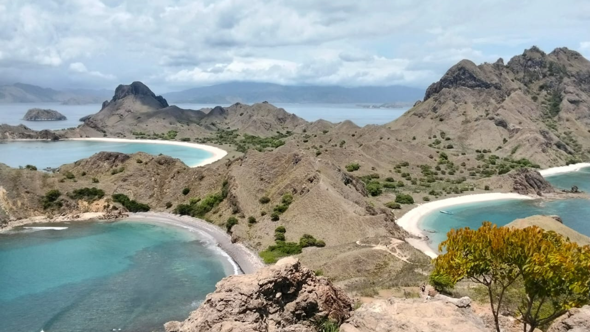 Komodo Adventure Cruise: A Thrilling Sailing Experience in Komodo National Park