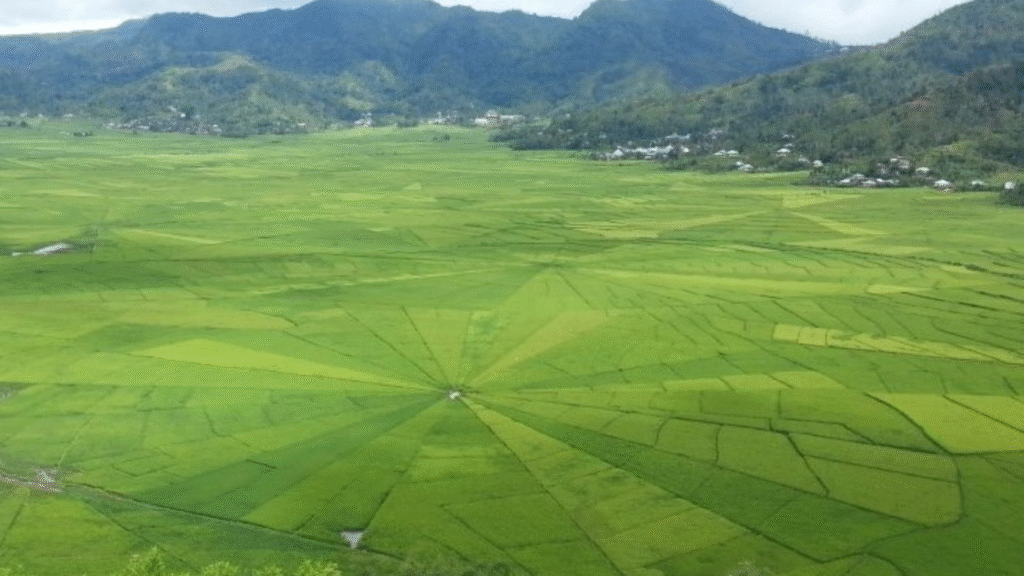 4D3N Flores Overland Tour: Discover the Cultural Heart of Flores