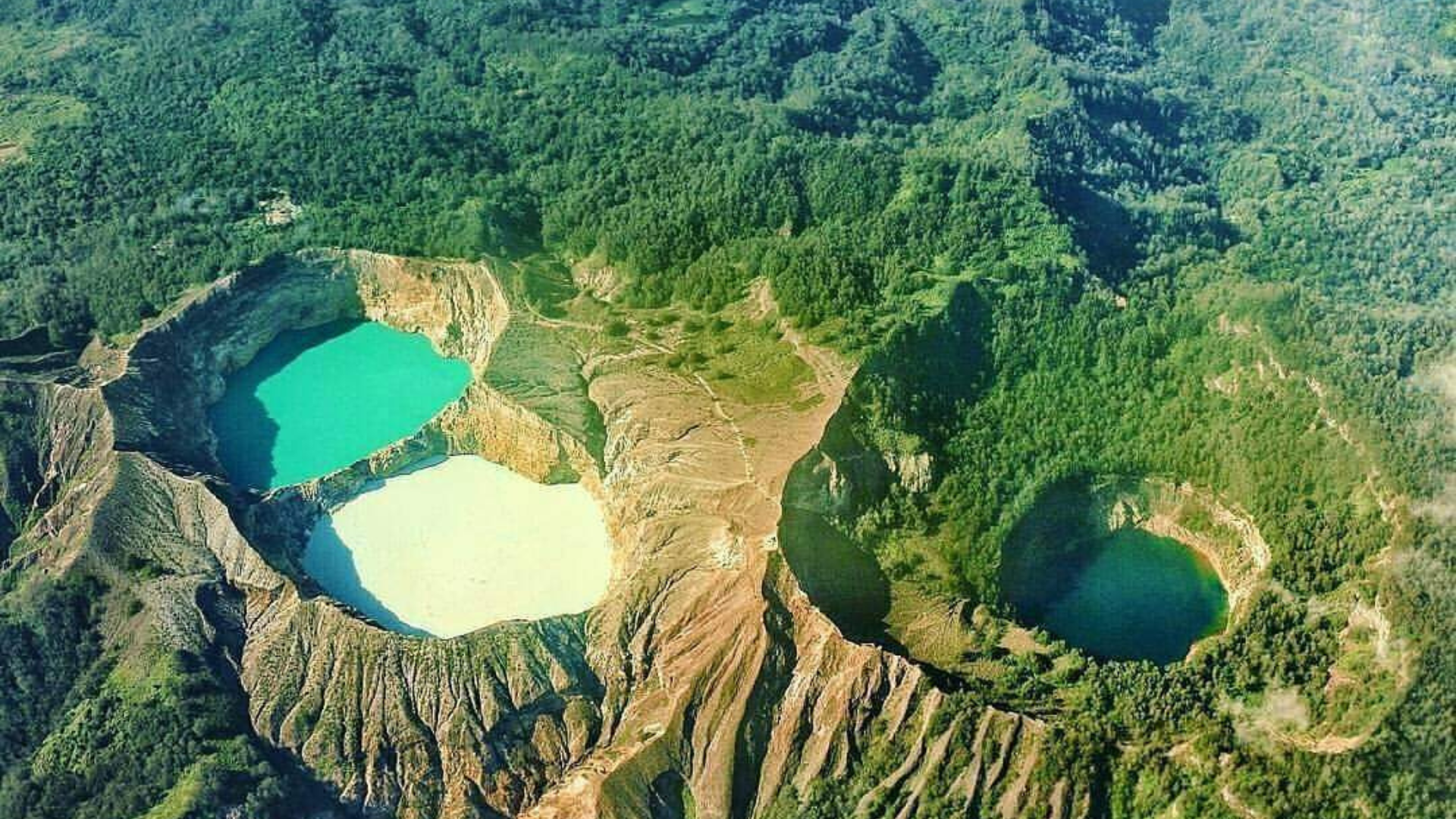 7D6N Flores Overland Tour: The Ultimate Flores Island Expedition