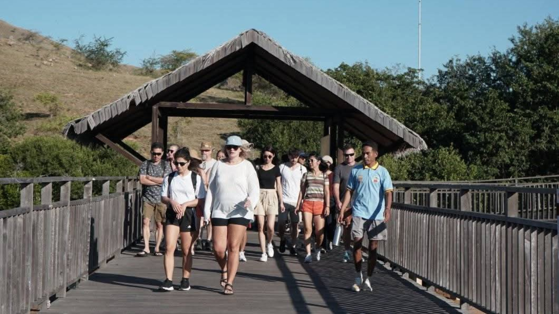Komodo Flores Travel Guide: Explore the Best of Flores and Komodo