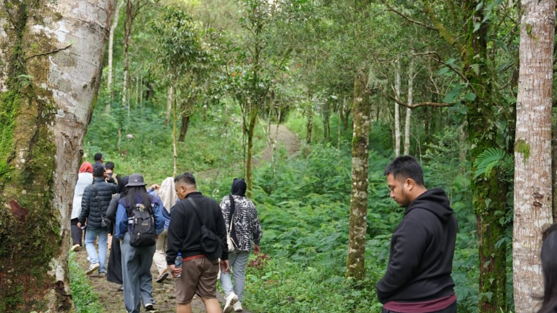 Komodo Trekking Tour: Explore the Home of the Legendary Komodo Dragon