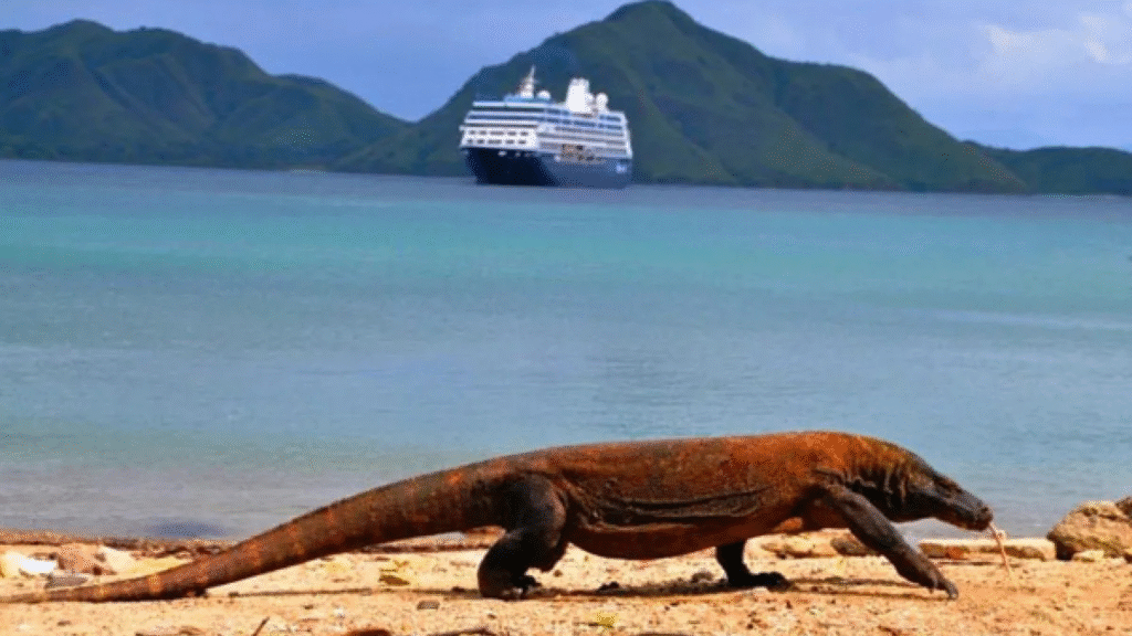 Komodo Island Shore Excursion: Meet the Legendary Komodo Dragons