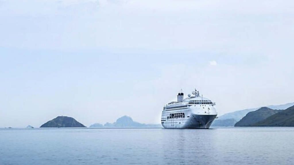Komodo Island Cruise Excursion: Experience the Best of Komodo During Your Cruise Stop