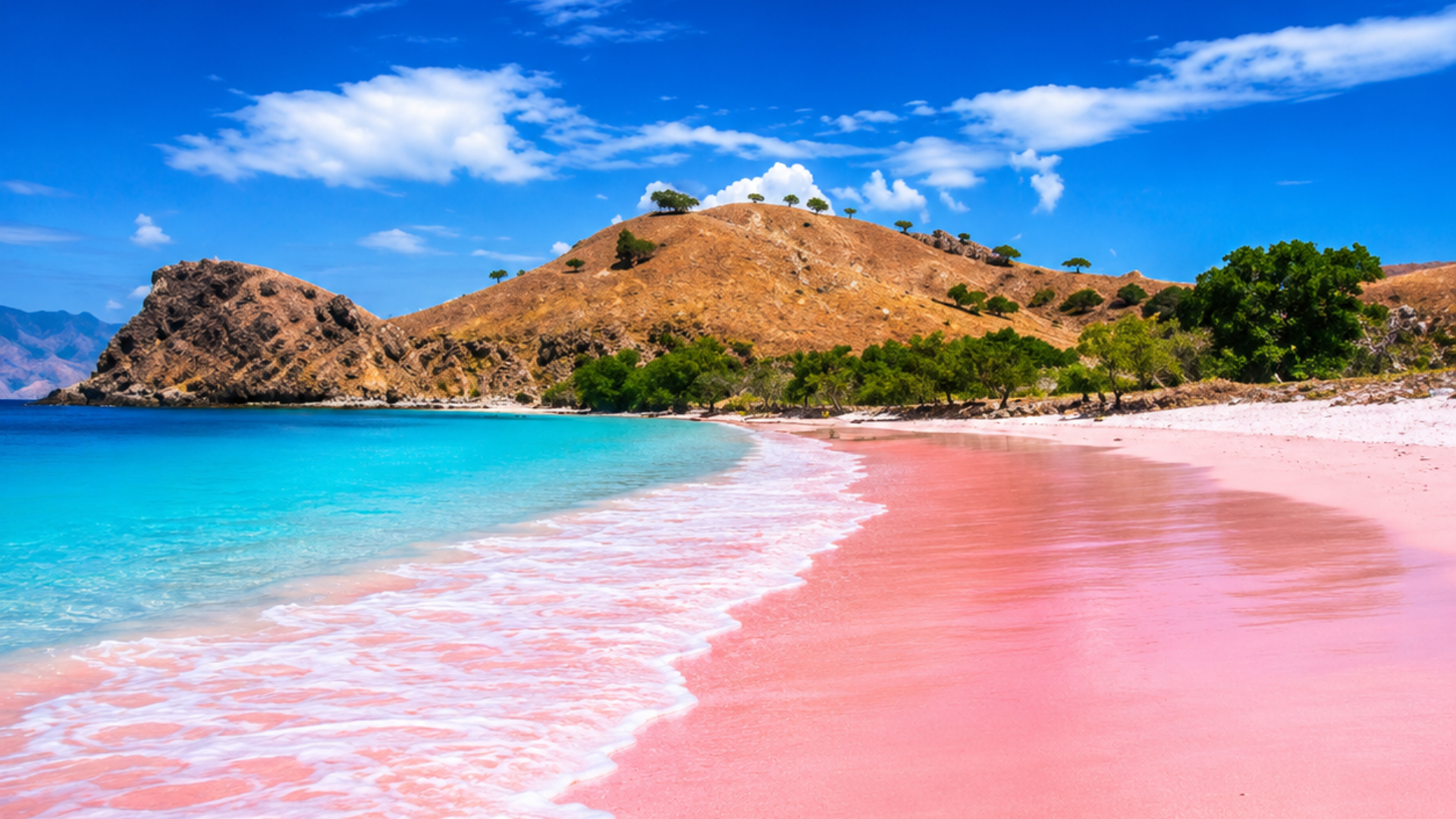 Pink Beach Komodo Cruise: Discover Flores' Most Stunning Shoreline