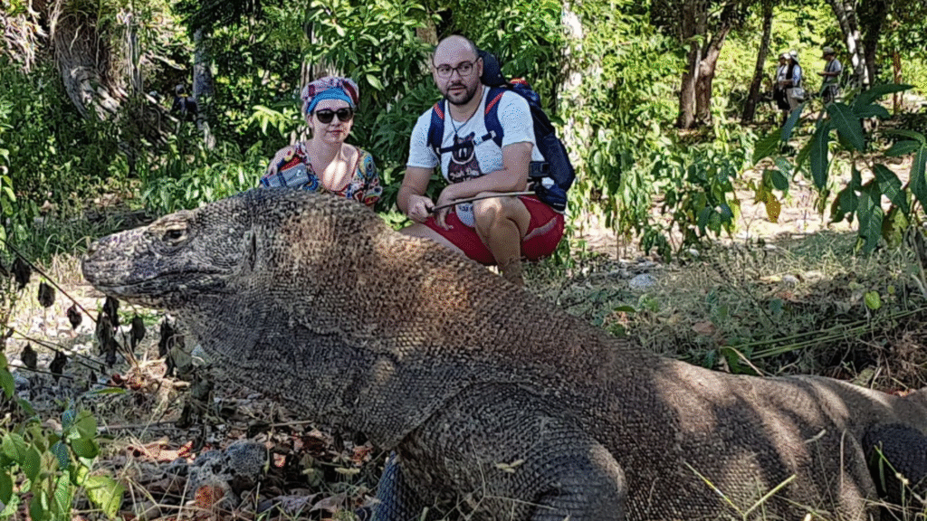 Cruise Ship Tours Komodo: Explore the Best of Komodo National Park