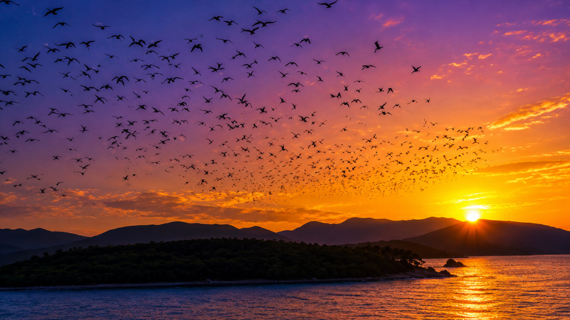 Komodo Sunset Trip: Experience the Magic of Sunset in Komodo National Park