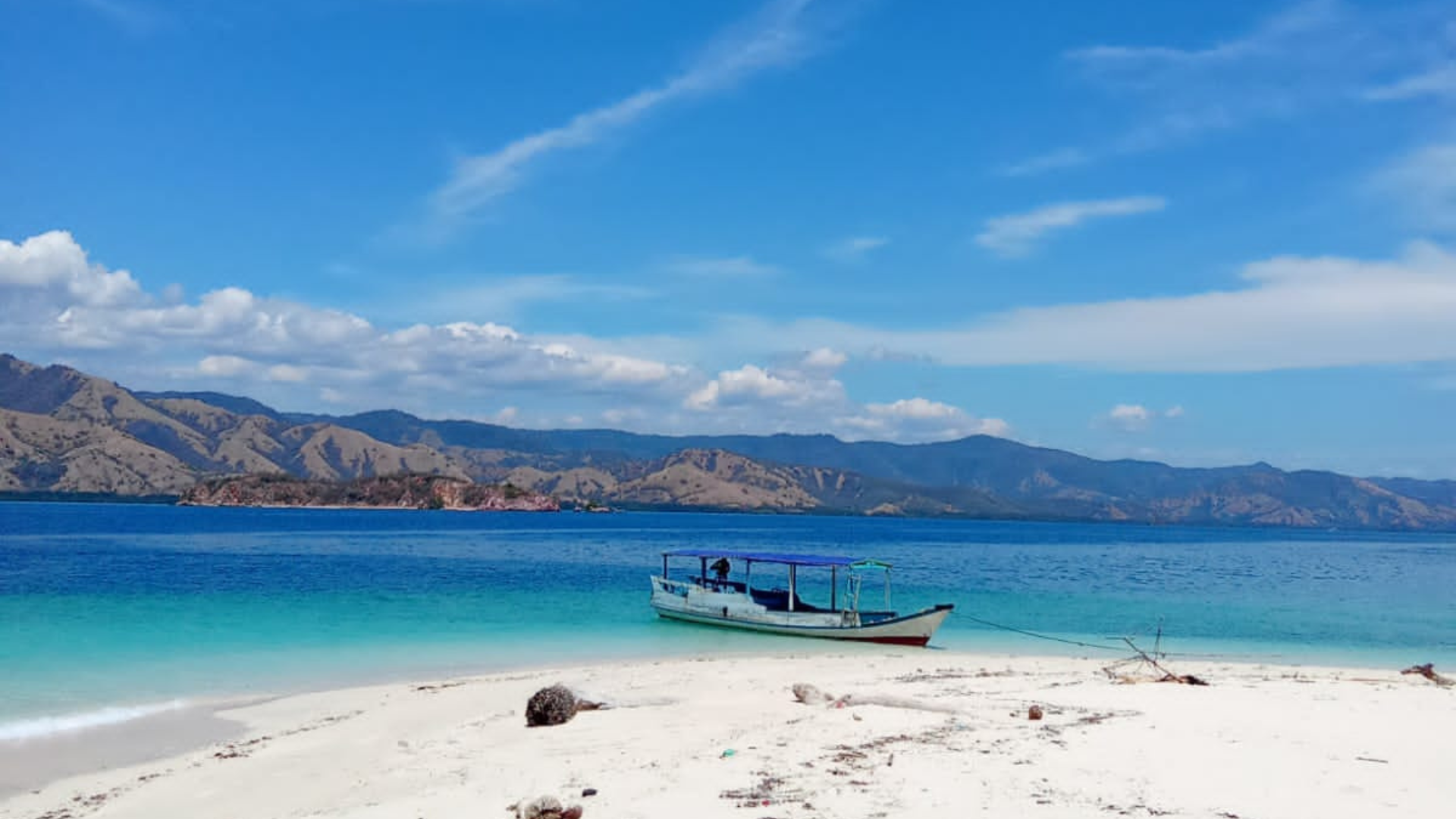 Best Komodo Flores Tour Package: Ultimate Island Adventure
