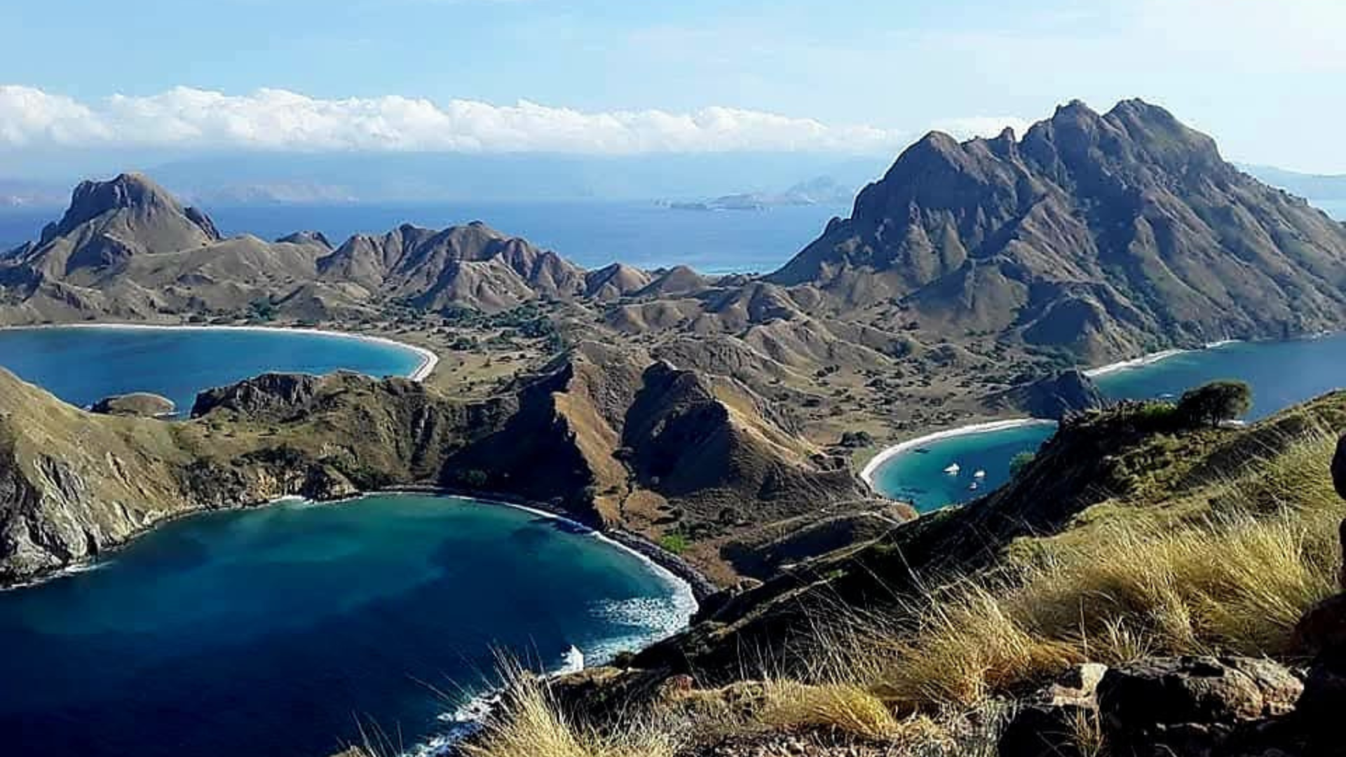 Komodo Flores Tour: Visit Komodo Dragons and Stunning Islands