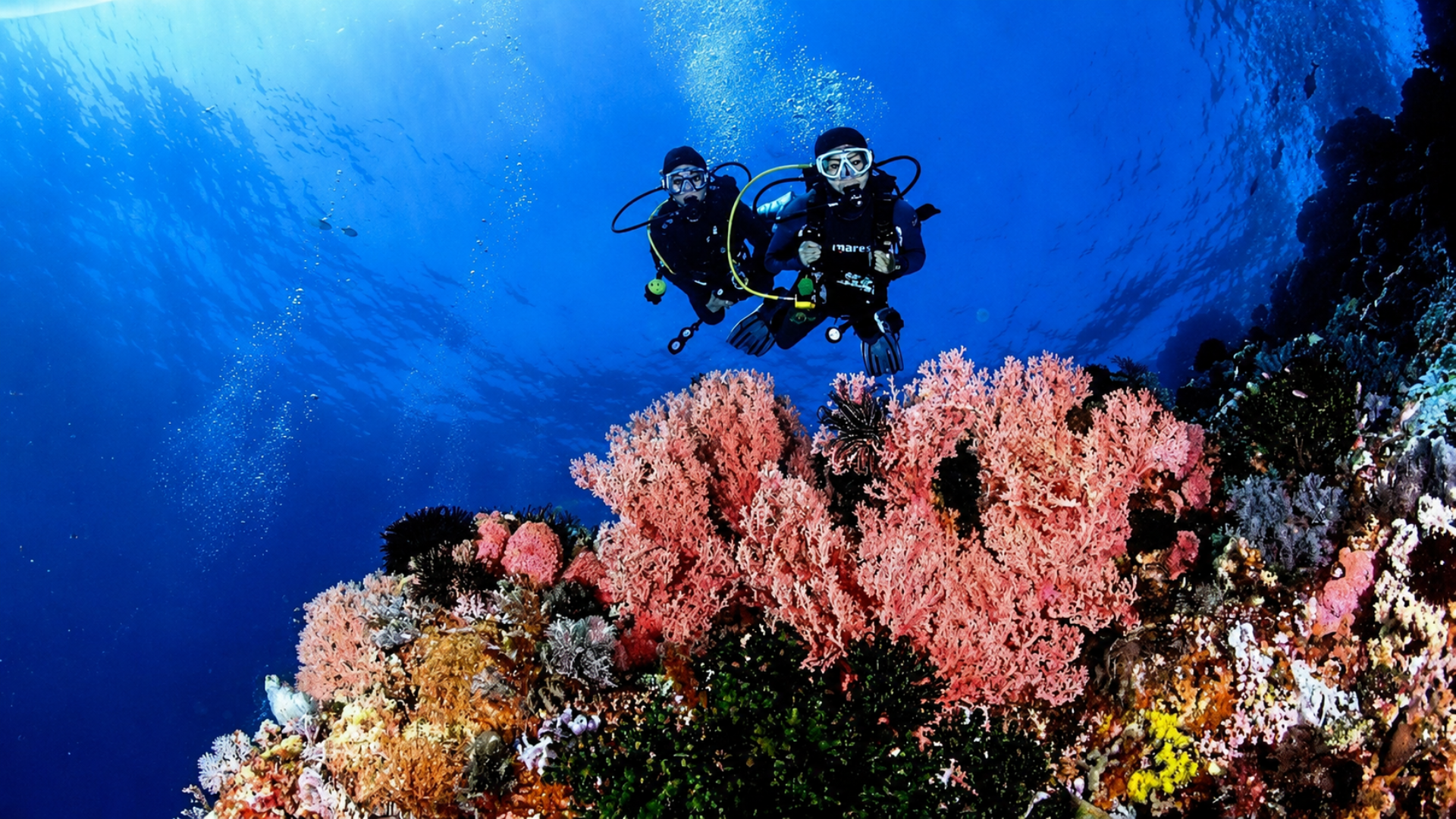 Komodo Liveaboard Tour: Sail Through Paradise in Indonesia