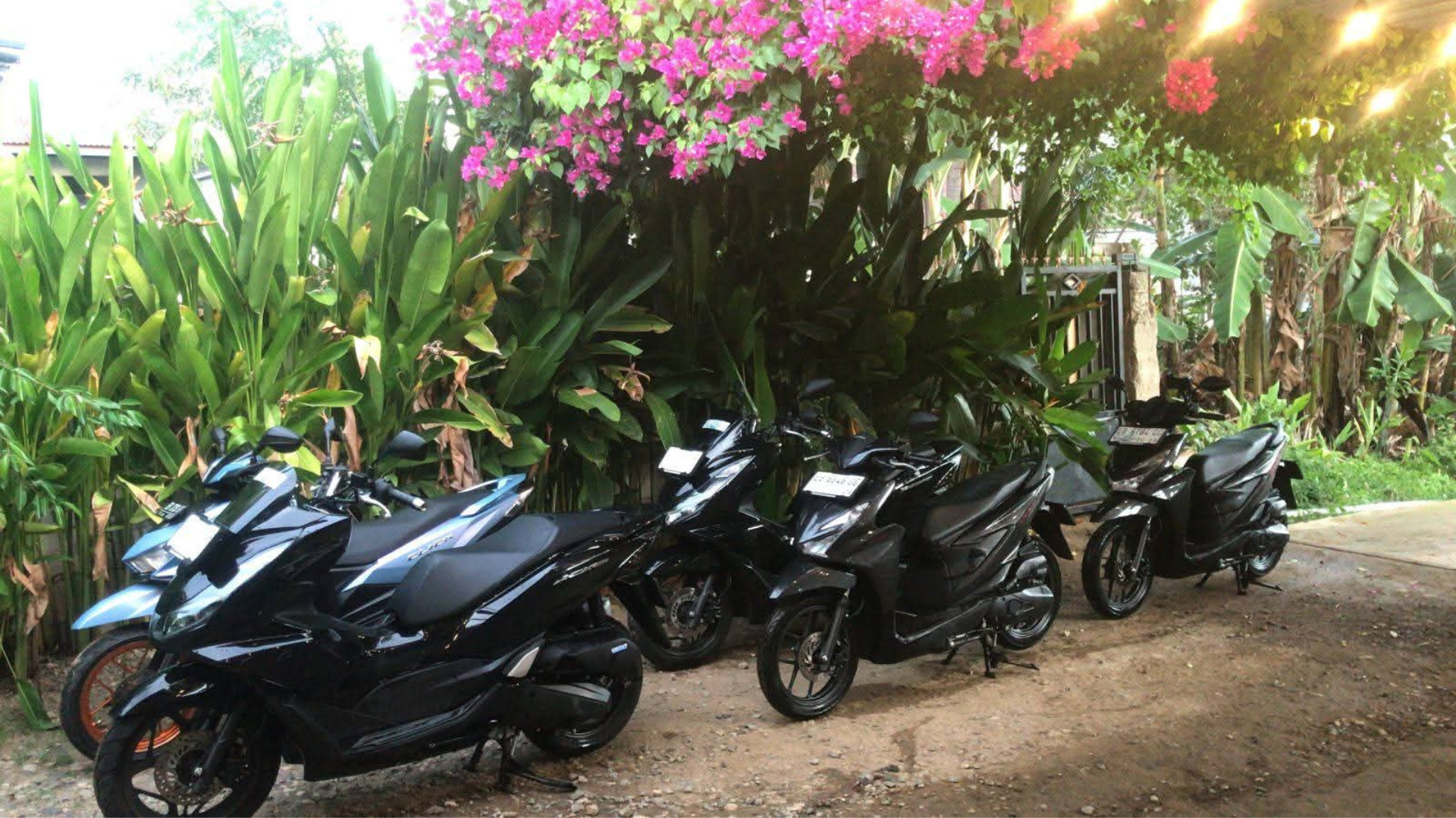 Motorbike Rental Near Labuan Bajo Airport: The Best Way to Start Your Adventure
