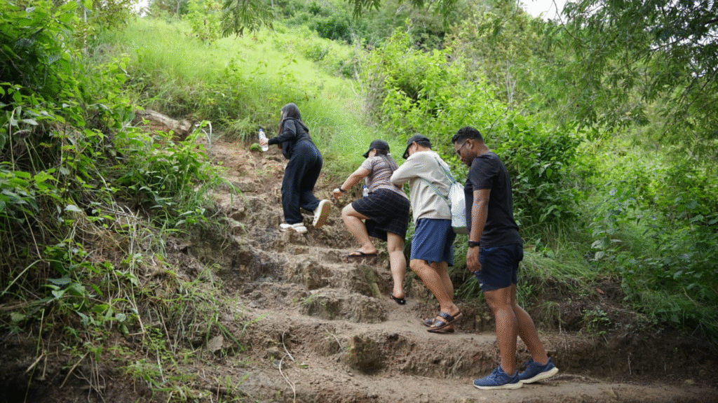 Padar Island Trekking Tour: Discover the Most Iconic View in Komodo National Park