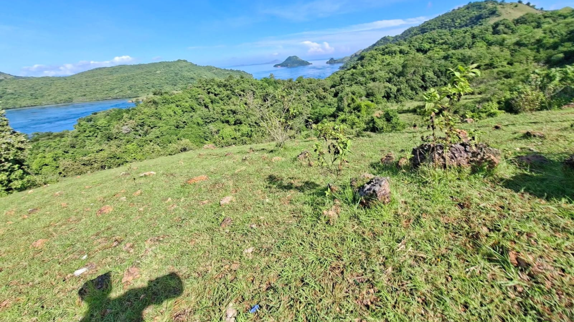 Labuan Bajo Komodo Tour: Explore Indonesia's Most Famous Island Destination