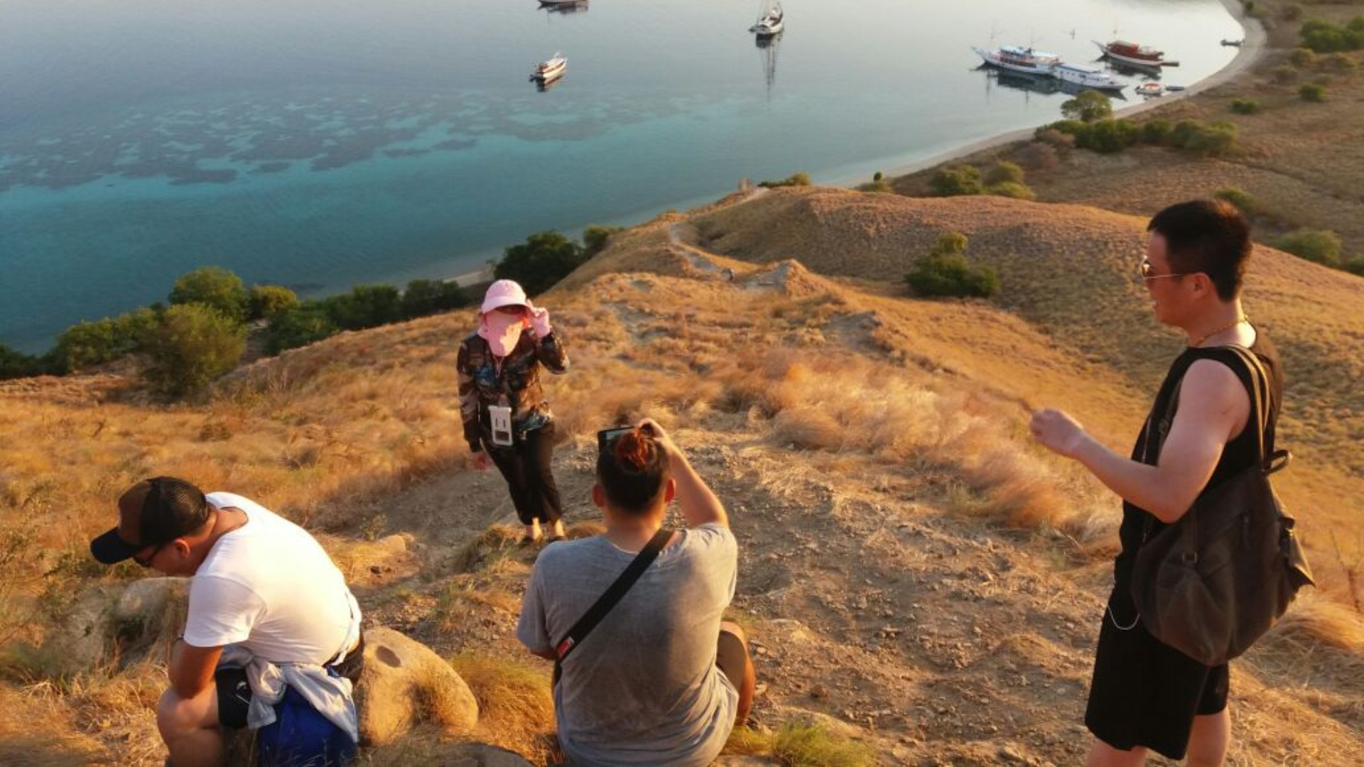 Komodo Tour from Labuan Bajo: An Unforgettable Island Adventure