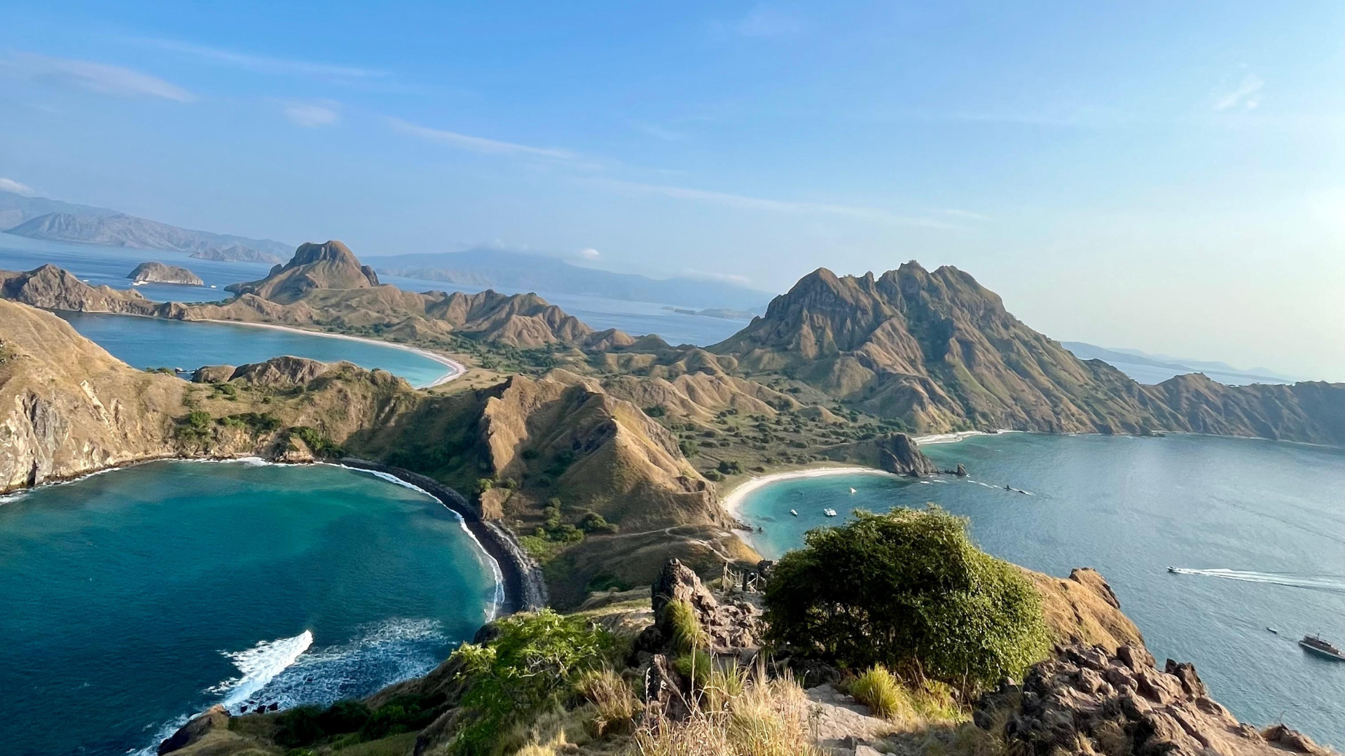 Best Time to Visit Komodo Island: When to Plan Your Adventure