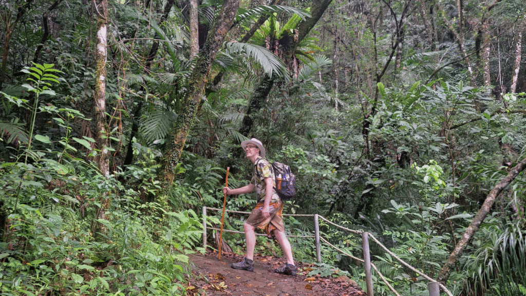 Wae Rebo Trek: A Rewarding Journey to Flores' Iconic Mountain Village