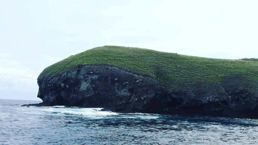 Flores in August: A Perfect Month for Island Adventures