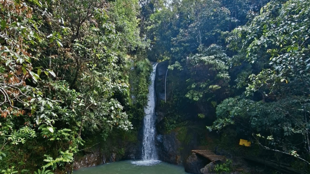 Flores Waterfalls: Discover the Island's Most Beautiful Hidden Gems